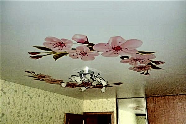 натяжной потолок с цветами вид 4